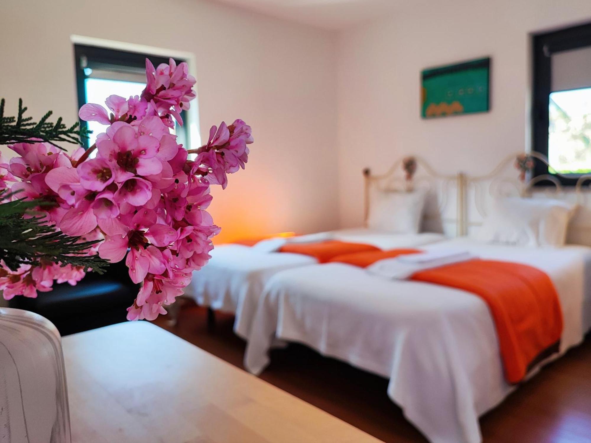 Agroturismo Quinta De Travancela Амаранте Экстерьер фото