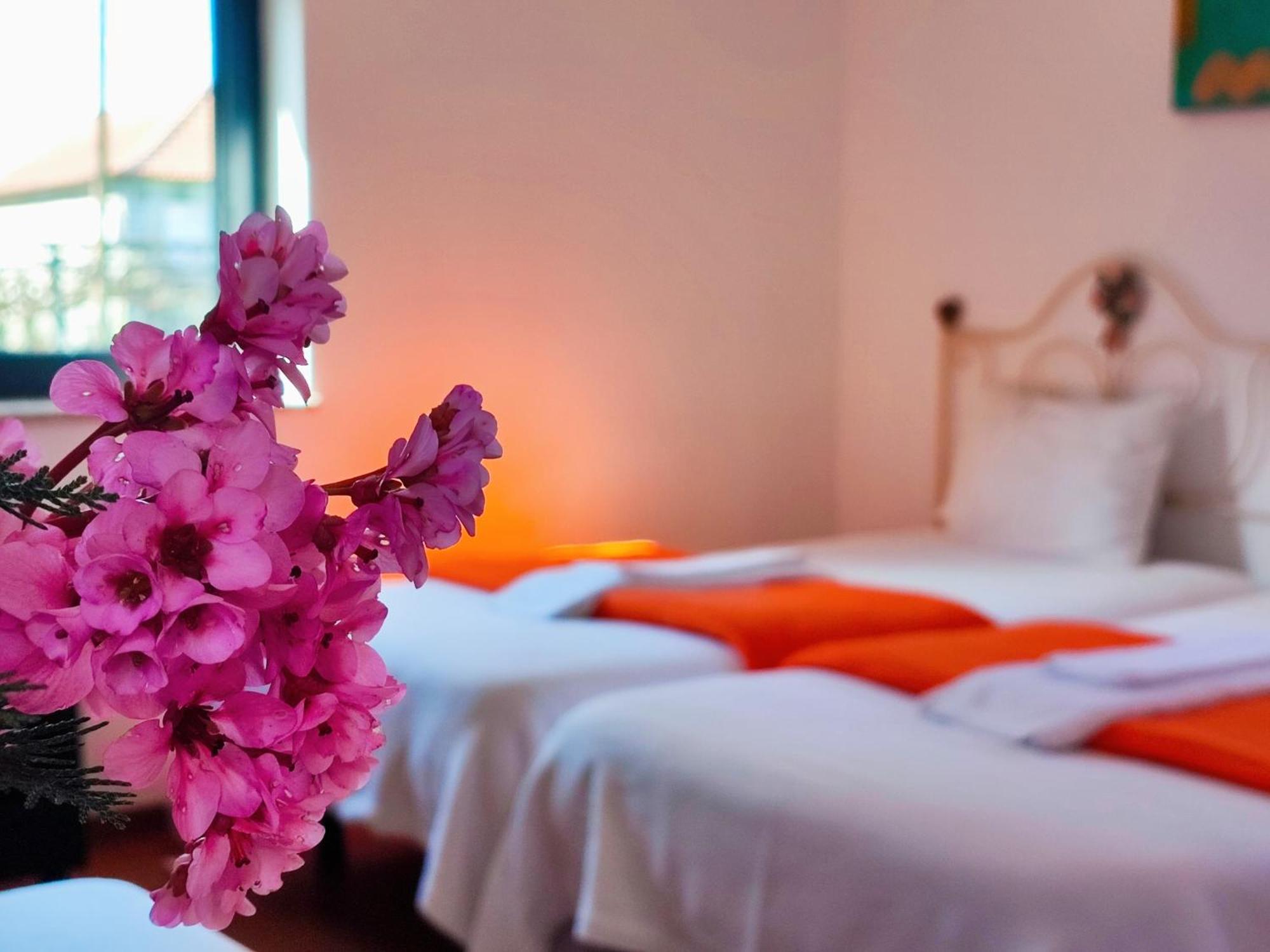 Agroturismo Quinta De Travancela Амаранте Экстерьер фото