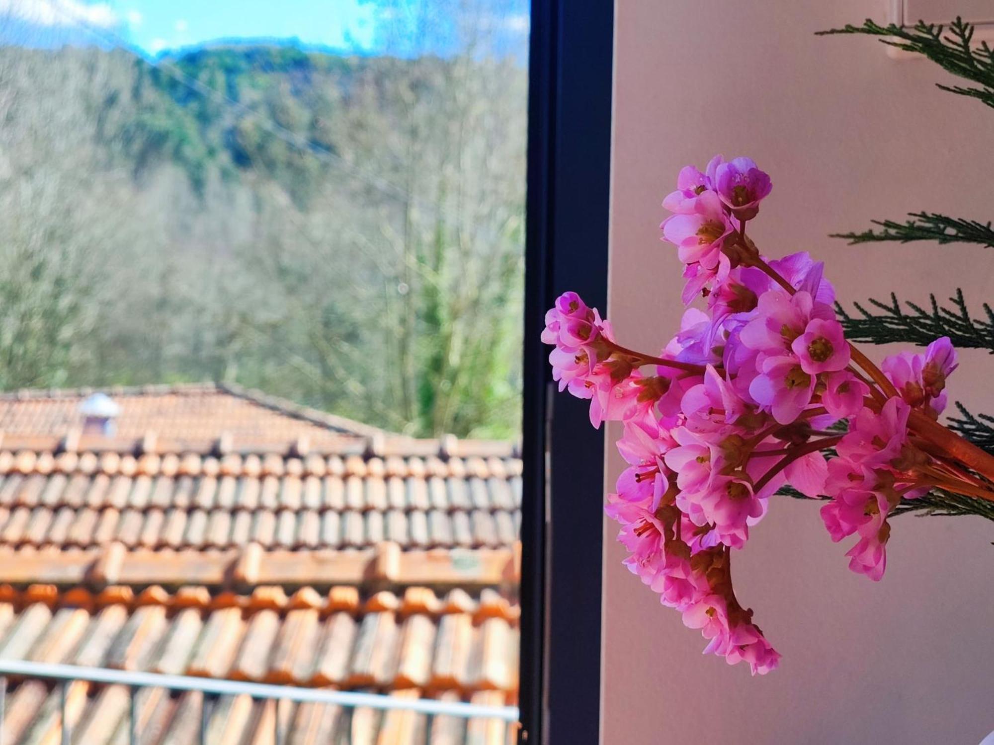 Agroturismo Quinta De Travancela Амаранте Экстерьер фото